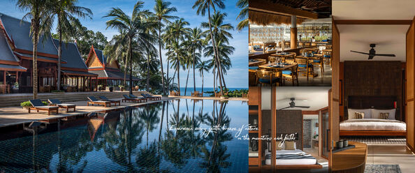 calidad Fan de techo remota del LED fábrica