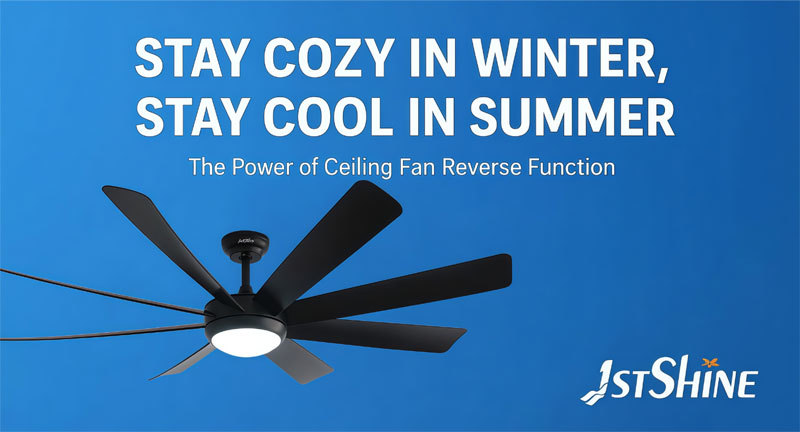 Últimos blogs de la empresa sobre Mantente cómodo en invierno, mantente fresco en verano: El poder de la función inversa del ventilador de techo