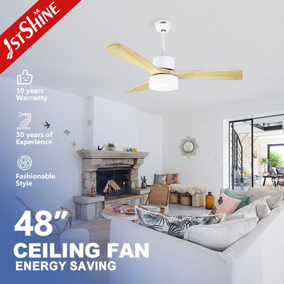 Temporada de invierno Smart Bldc ventilador de techo con luz por función reversible